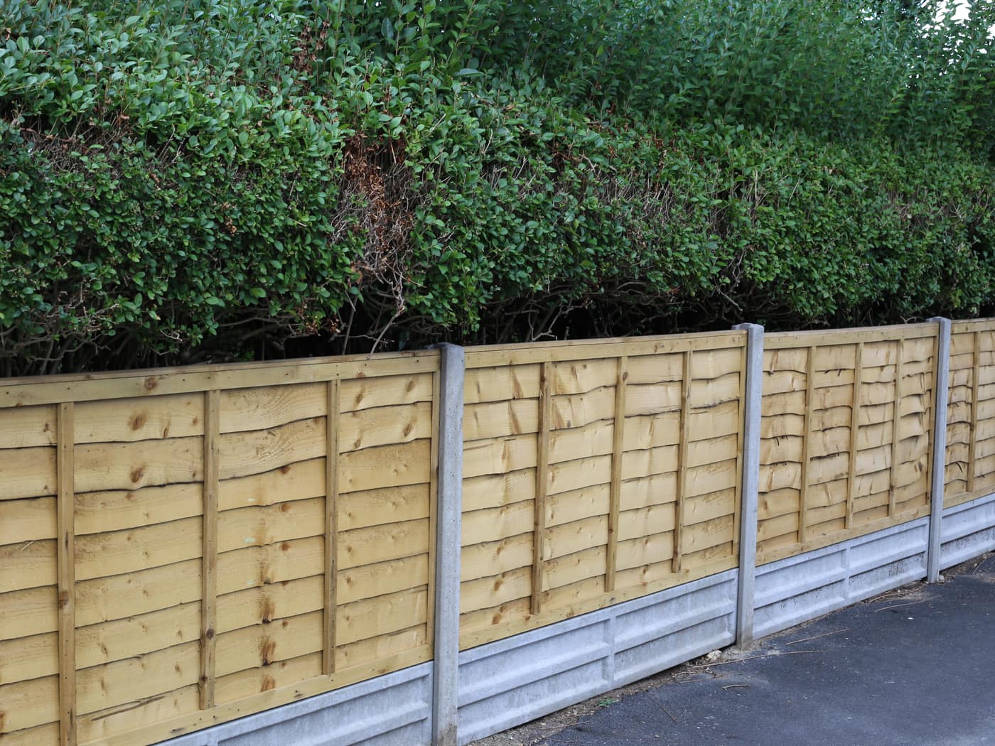 Lap panel fence with concrete posts