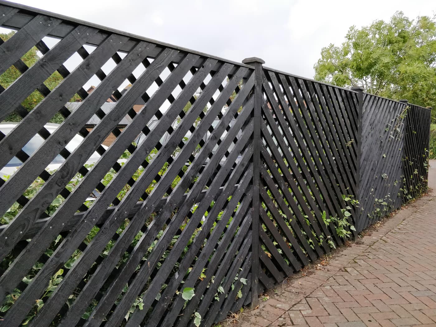 Black trellis fence panels